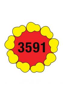 3591