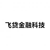飞贷金融科技