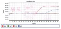Amplification Plot Rn 50,000 40,000 30,000 20,000 10,000 0 -10,000 -20,000 -30,000 DECEJ 2 4 6 8 10 12 14 16 18 20 22 24 26 28 30 32 34 36 38 40 42 44 Cycle Legend IMP MP NP LP 驢皮 東阿城阿膠 香港正貨 提防假冒