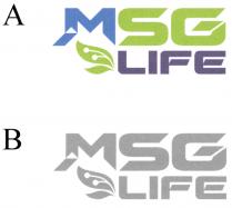 MSG LIFE