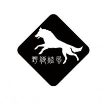 野狼炫風