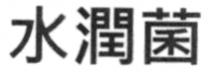 水潤菌