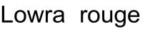 Lowra rouge