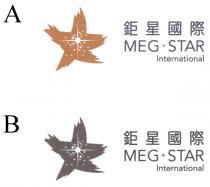 MEG STAR International 鉅星國際