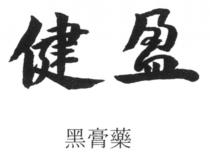 健盈 黑膏藥