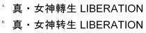 LIBERATION 真 女神轉生 真 女神转生