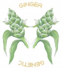 GINGER GENETIC