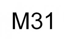 M31