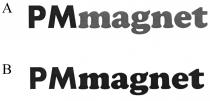 PMmagnet