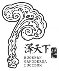 HUOSHAN GANODERMA LUCIDUM 澤天下 霍山赤芝