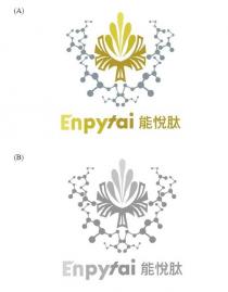 Enpytai 能悅肽