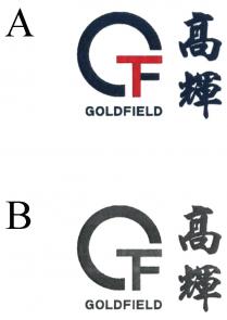 GF GOLDFIELD 髙輝
