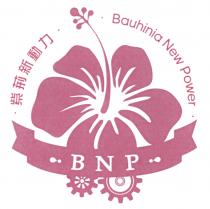 Bauhinia New Power BNP 紫荊新動力