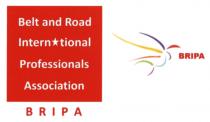 Belt and Road International Professionals Association BRIPA BRIPA
