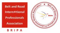 Belt and Road International Professionals Association BRIPA Belt and Road International Professionals Alumni Association BRIPA