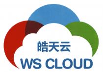 WS CLOUD 皓天云
