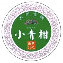 天然生晒 新會天馬 小青柑 素心茶行