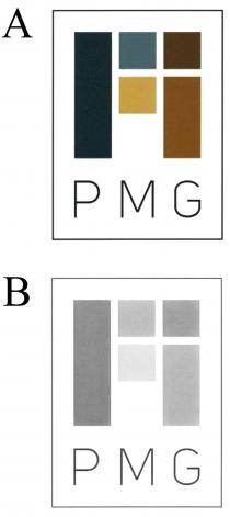 PMG