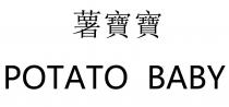 POTATO BABY 薯寶寶
