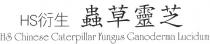 HS Chinese Caterpillar Fungus Ganoderma Lucidum HS 衍生 蟲草靈芝