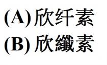 欣纖素 欣纤素
