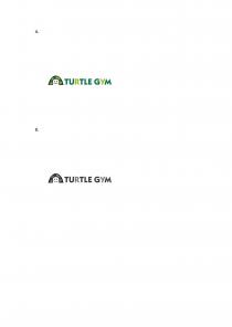 TURTLE GYM