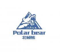 Polar bear 北極熊