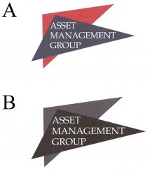 ASSET MANAGEMENT GROUP