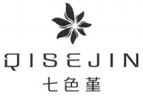 QISEJIN 七色堇