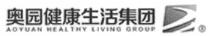 AOYUAN HEALTHY LIVING GROUP 奥园健康生活集团