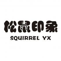 SQUIRREL YX 松鼠印象