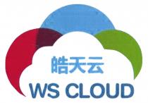 WS CLOUD 皓天云