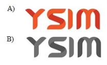 YSIM YSIM