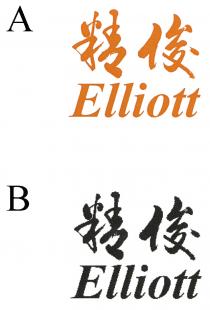 Elliott 精俊