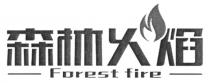 Forest fire 森林火焰
