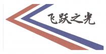飞跃之光