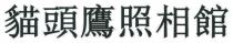 貓頭鷹照相館