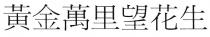 黃金萬里望花生