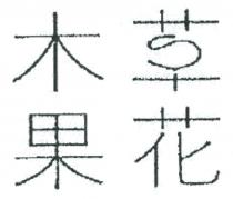 S 木草果花
