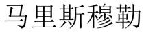 马里斯穆勒