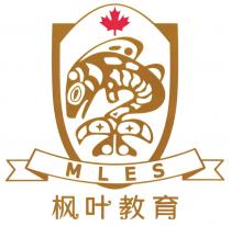MLES 枫叶教育