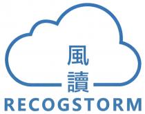 RECOGSTORM 風讀
