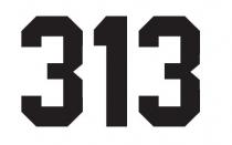 313