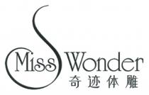 Miss Wonder 奇迹体雕