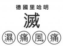 德國里哈明 滅 濕 痛 風