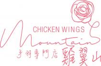 CHICKEN WINGS Mountain 手羽專門店 雞翼山
