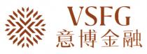VSFG 意博金融