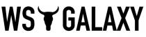 WS GALAXY