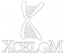 X XCELOM