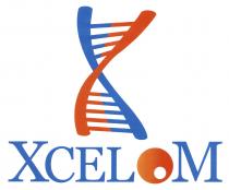 X XCELOM